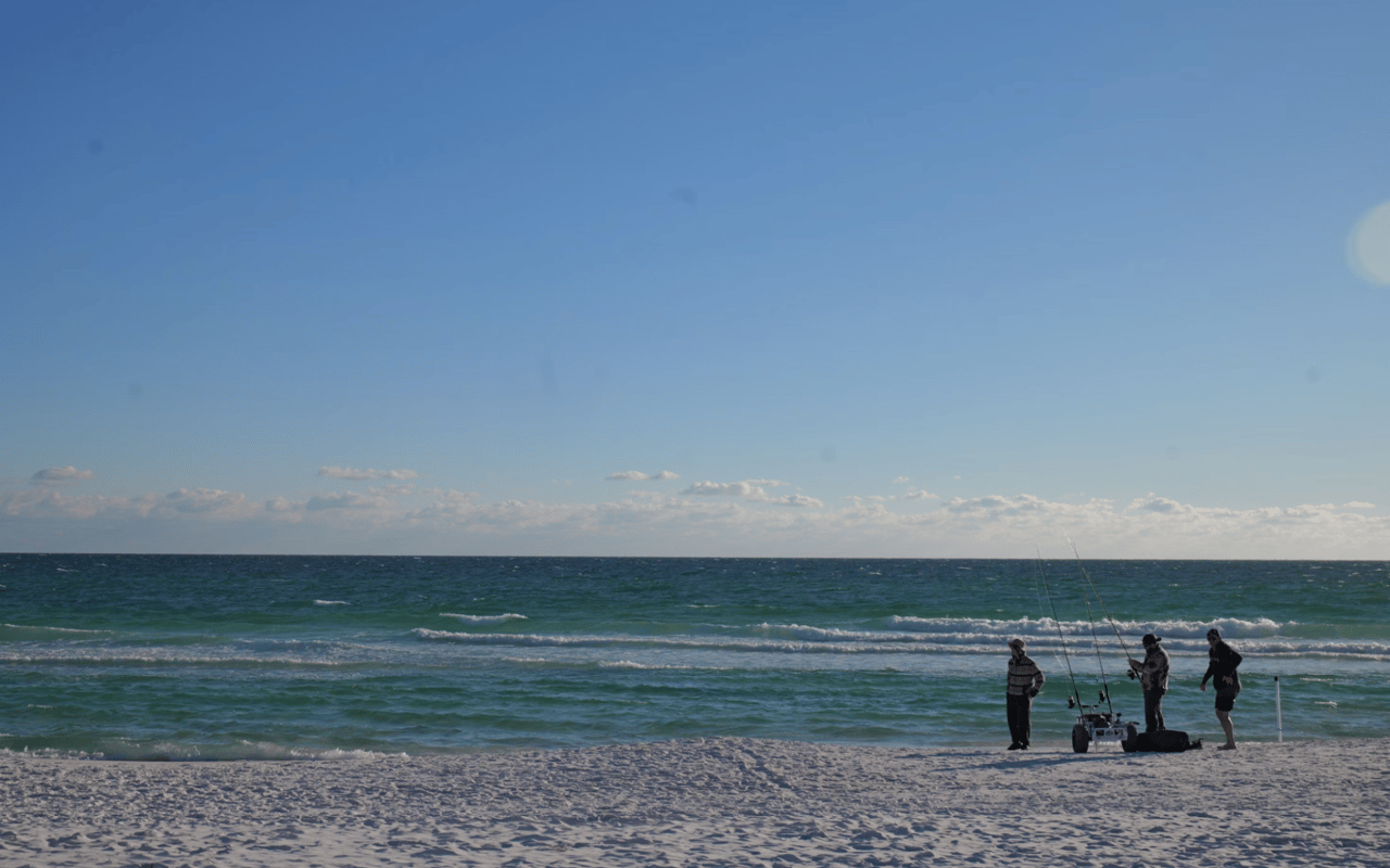 The Top Attractions in Miramar Beach, FL, For Locals or Tourists