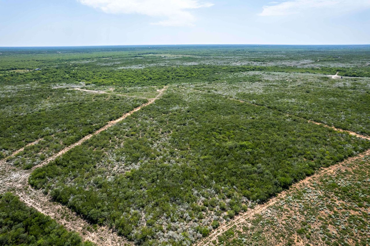 30 Acres CR 173, Alice