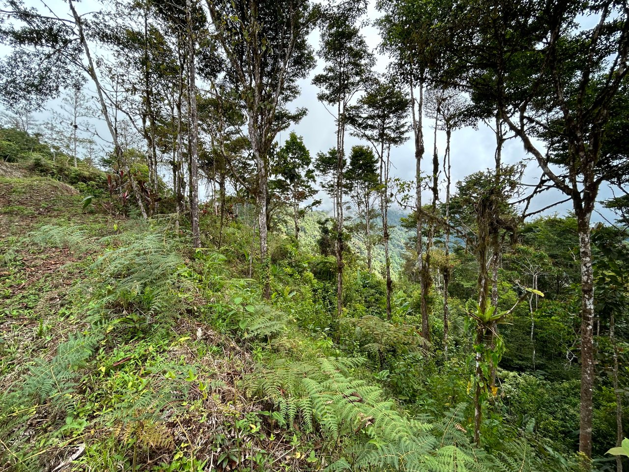 Whale Tail, Ocean & Mountain View lot in San Luis.