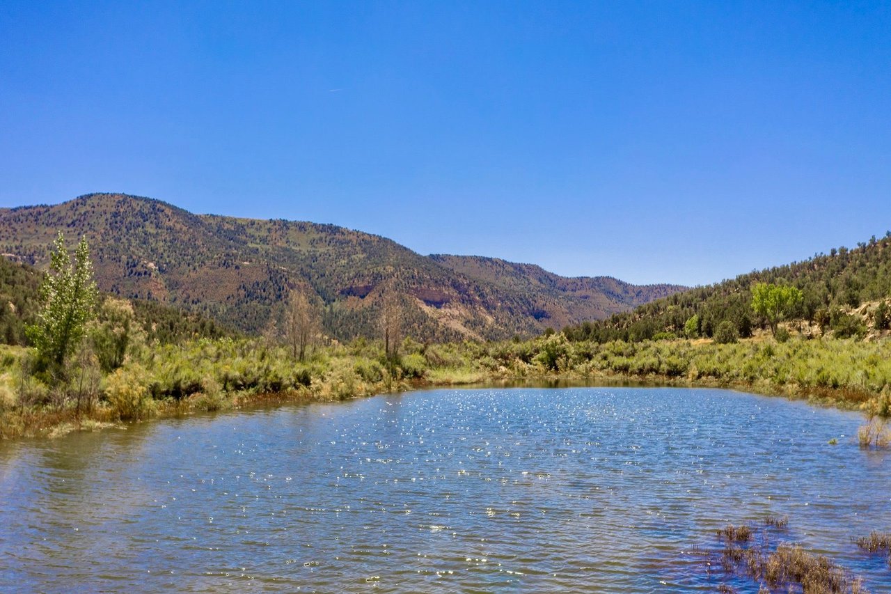 Weber Creek Ranch