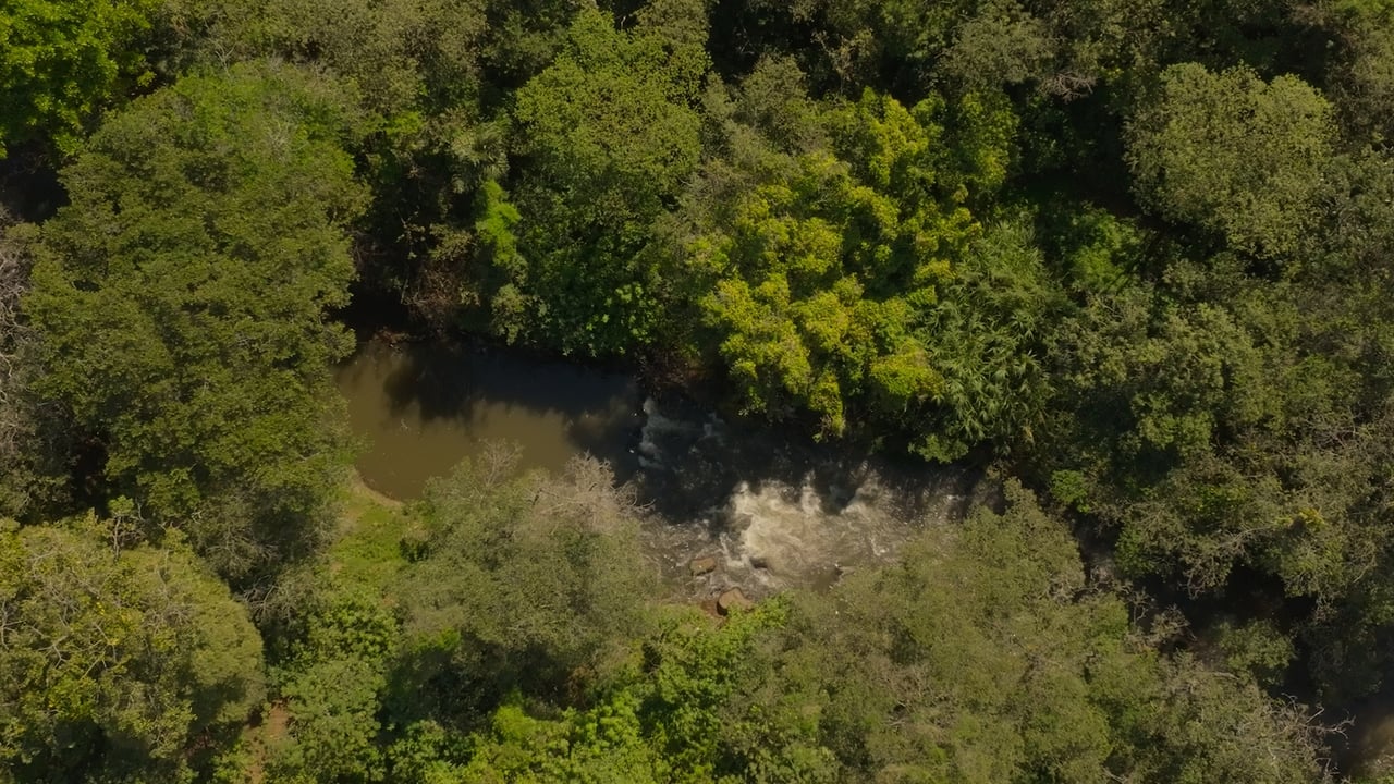 Prime Development Land for Sale La Guacima, Guacima, Alajuela