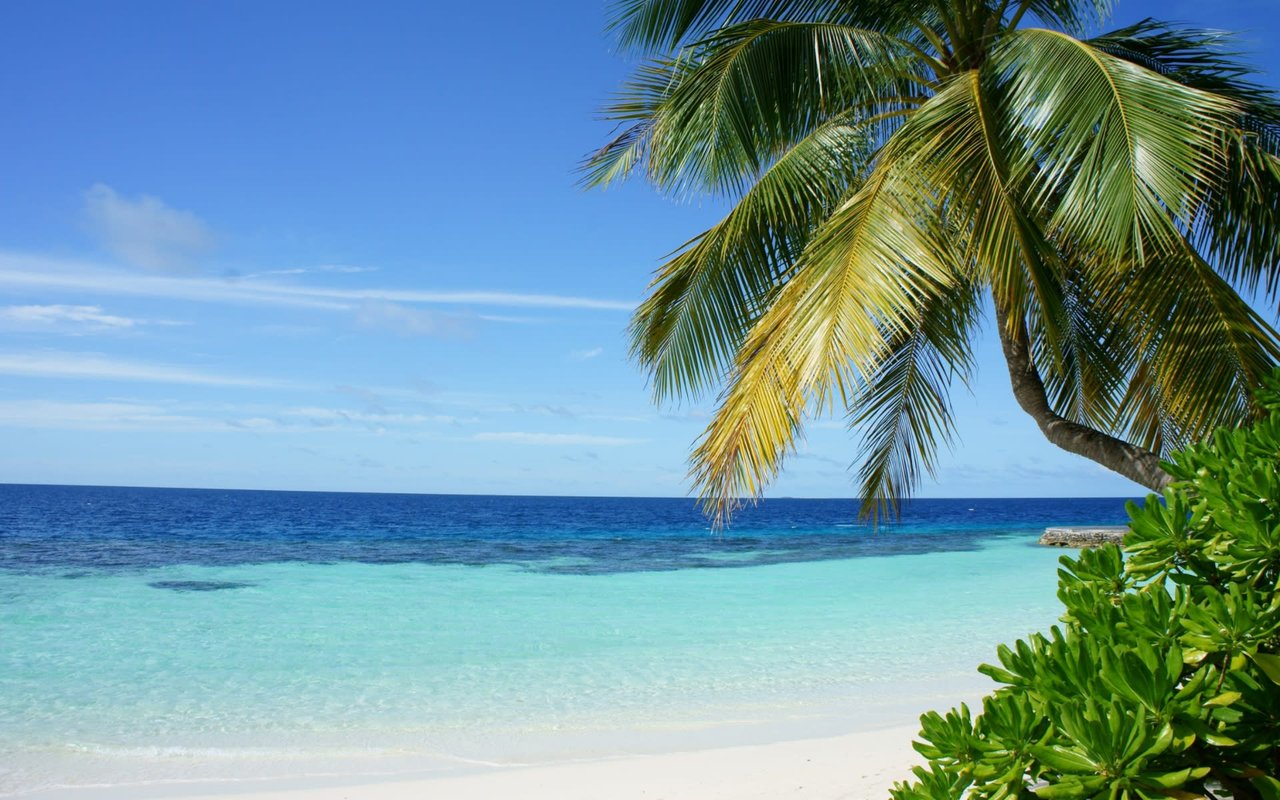 Breaking Real Estate News for Jupiter and Jupiter Inlet Colony