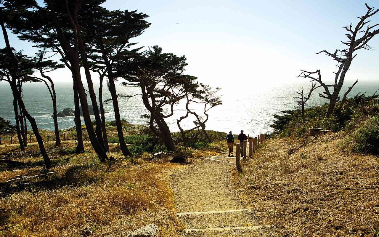 Exploring Nature's Beauty: Hiking Trails in and Around Pacific Heights