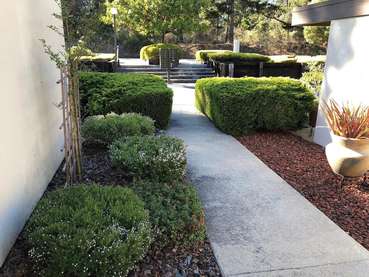 24501 Via Mar Monte APT 49