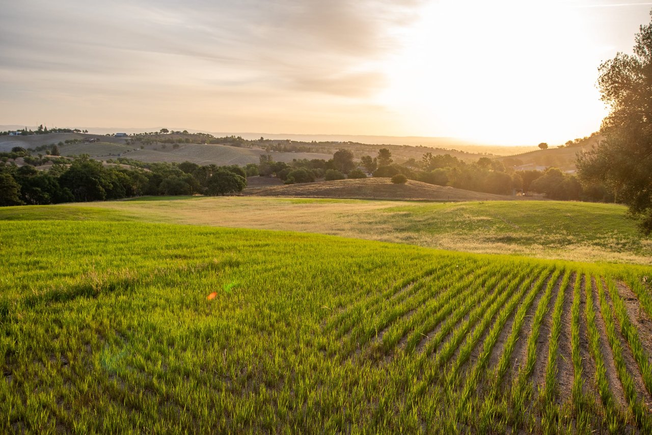 Paso Robles Paradise