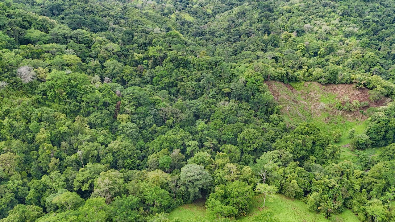 177 acre Ocean view property with multiple plantels, unspoiled mountain, jungle, river and waterfall areas