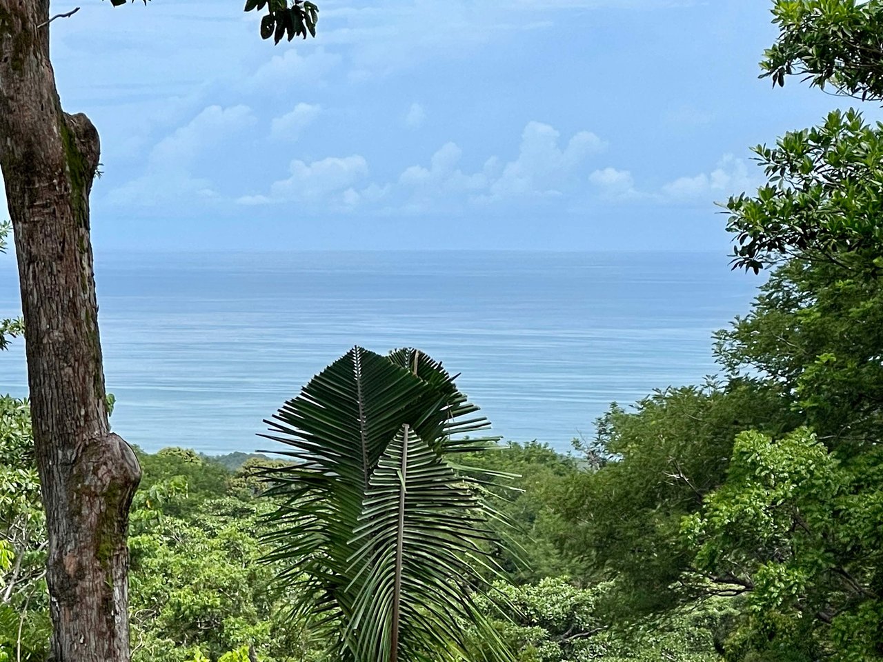 2.4 ACRES – Ocean View Lot With Creek Sorrounded By Rainforest In Gated Community!!