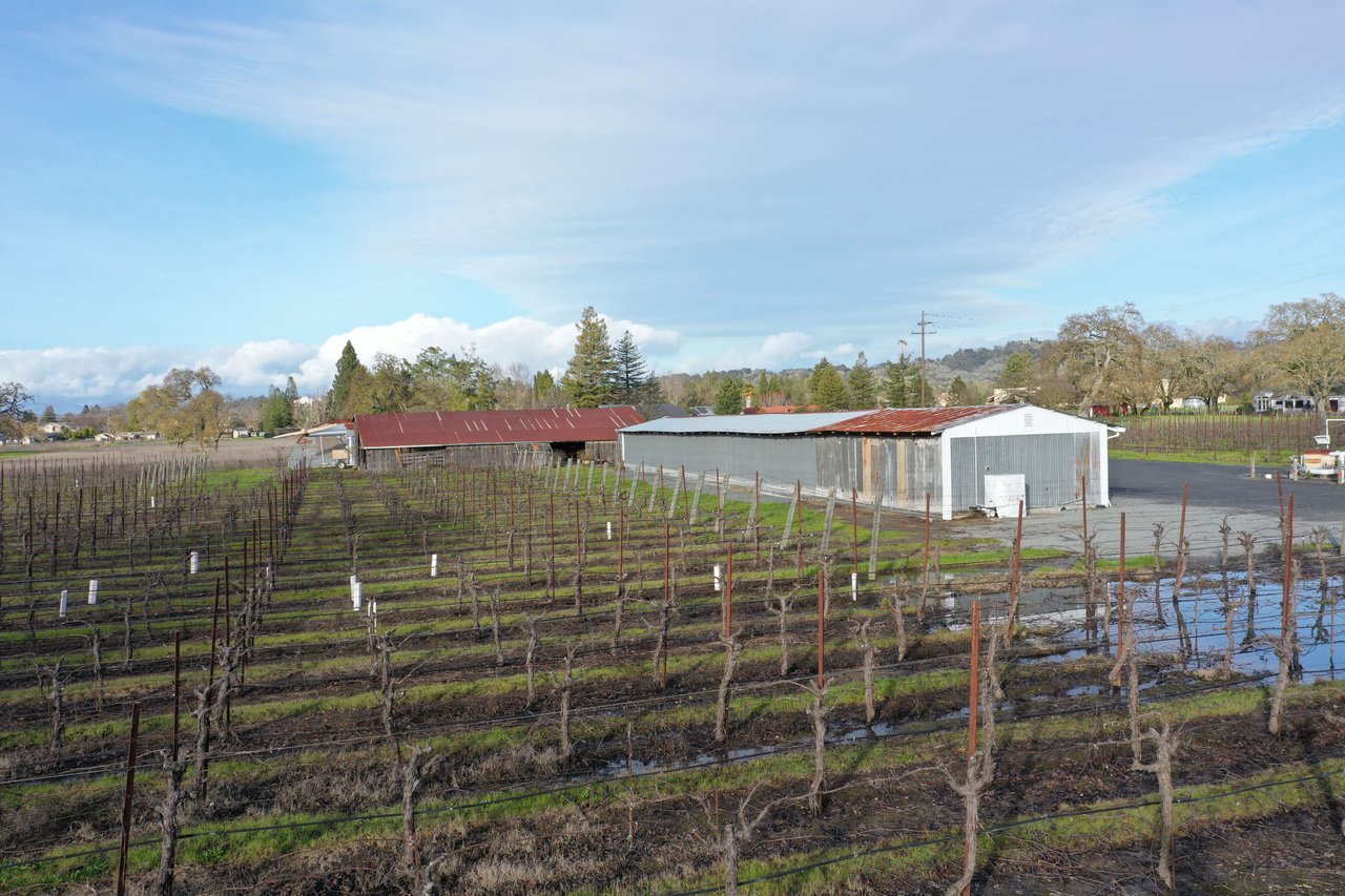 Nunes Vineyards & St. Rose Distillery
