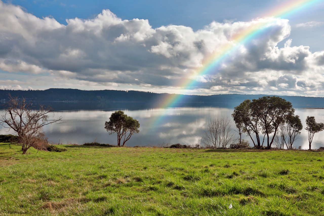 You Bought Land, Now What? 