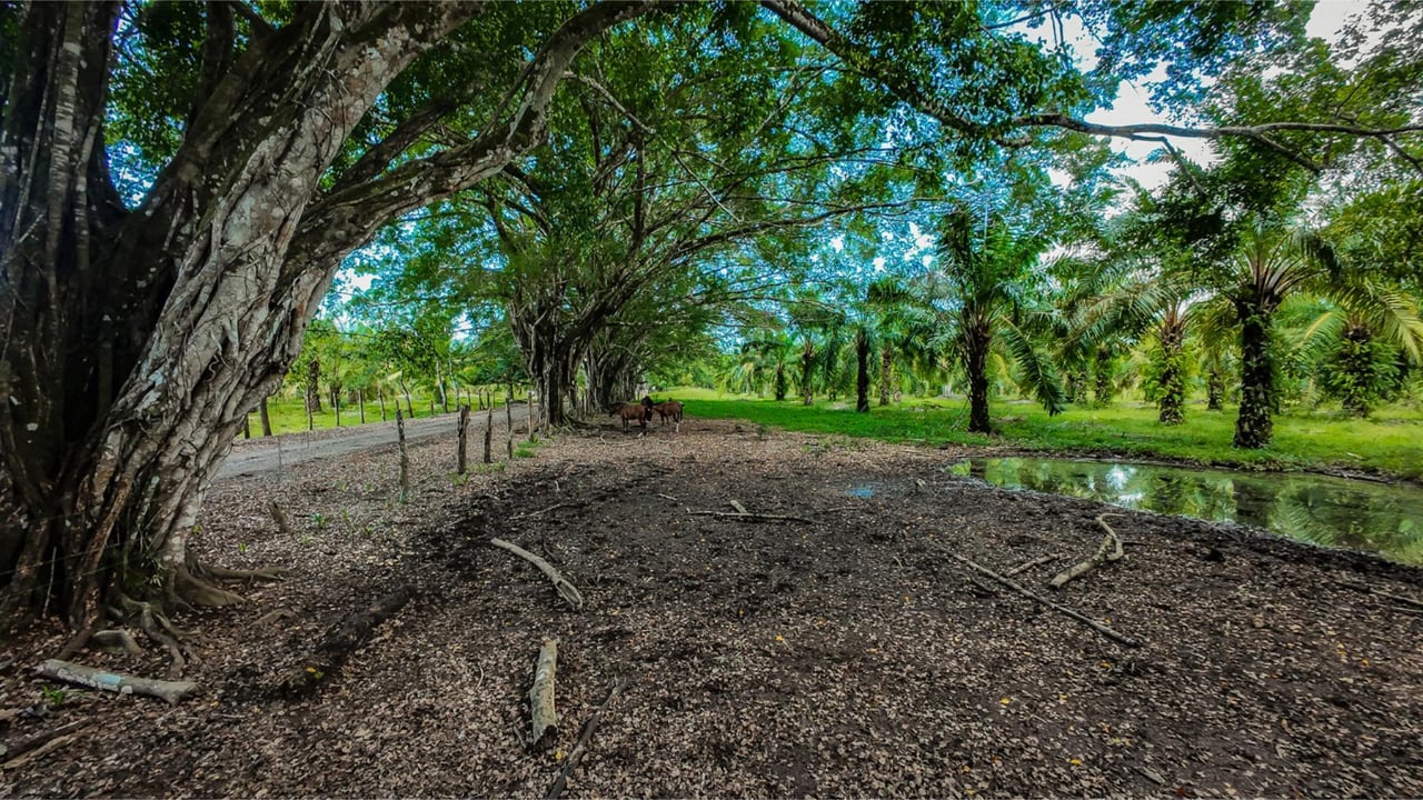 Oceanfront Legacy Ranch Estate, Jaco, Puntarenas