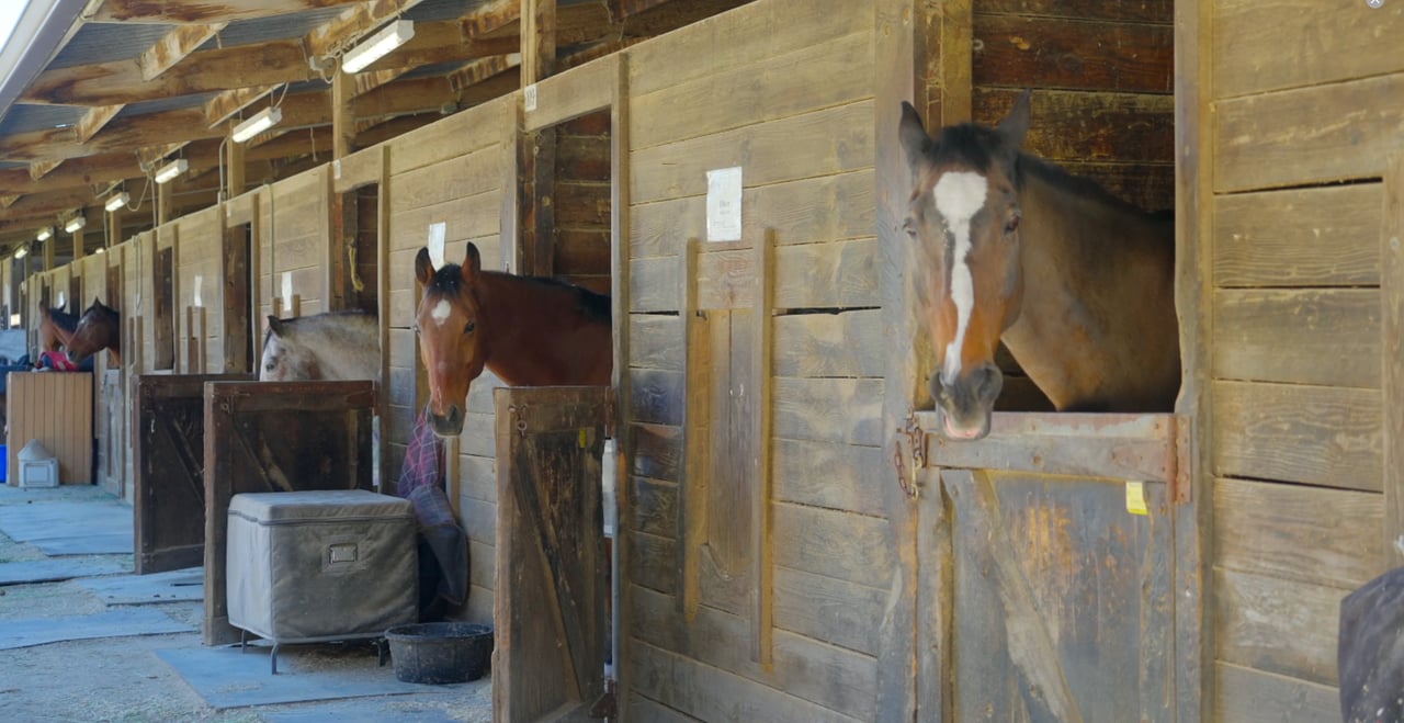 SJC Equestrian Center