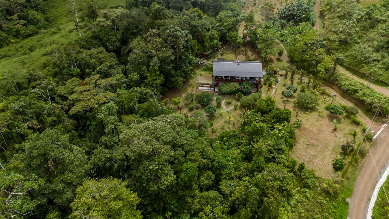 Mountain-View Oasis: Tranquil Home with Studio, Greenhouse and More