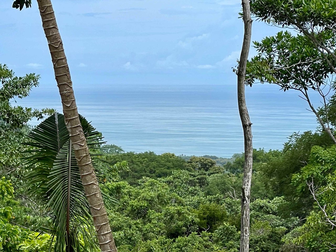 2.4 ACRES – Ocean View Lot With Creek Sorrounded By Rainforest In Gated Community!!