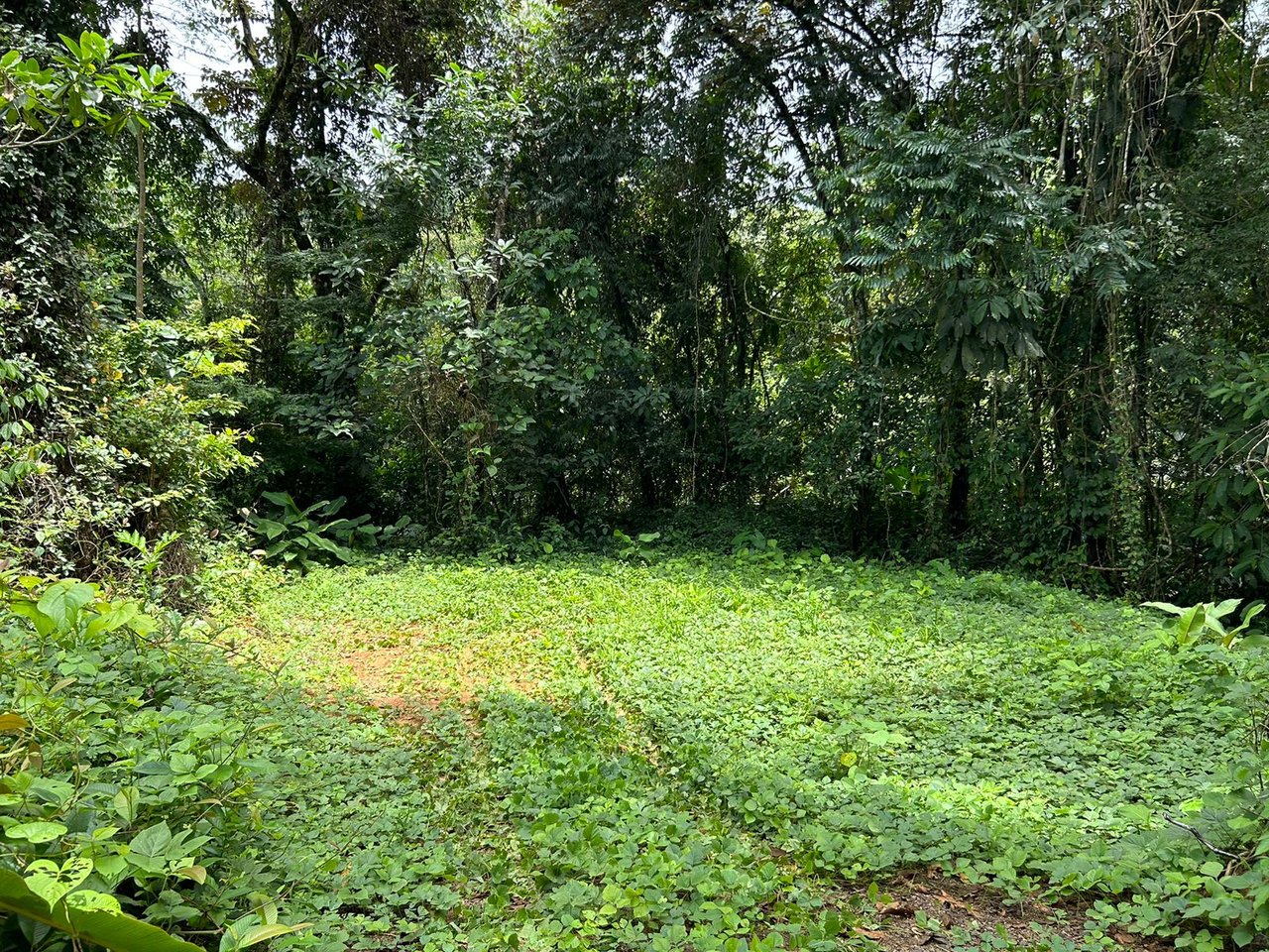 River frontage lot in desirable neighborhood in Uvita