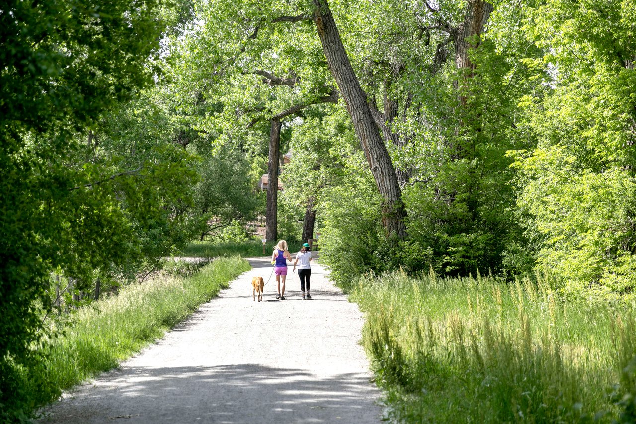 Two women wearing workout outfits with a dog walking in the middle of the road surrounded by trees.