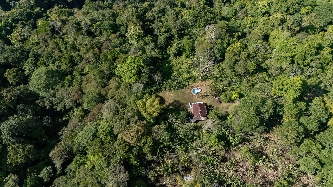 Off Grid Farm  at the top of the Uvita mountain range