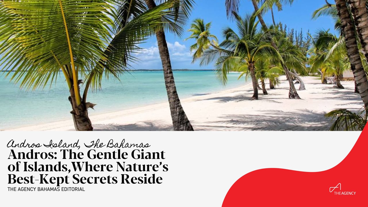  An idyllic tropical beach scene features a pristine white sandy shore gently meeting clear turquoise ocean water 