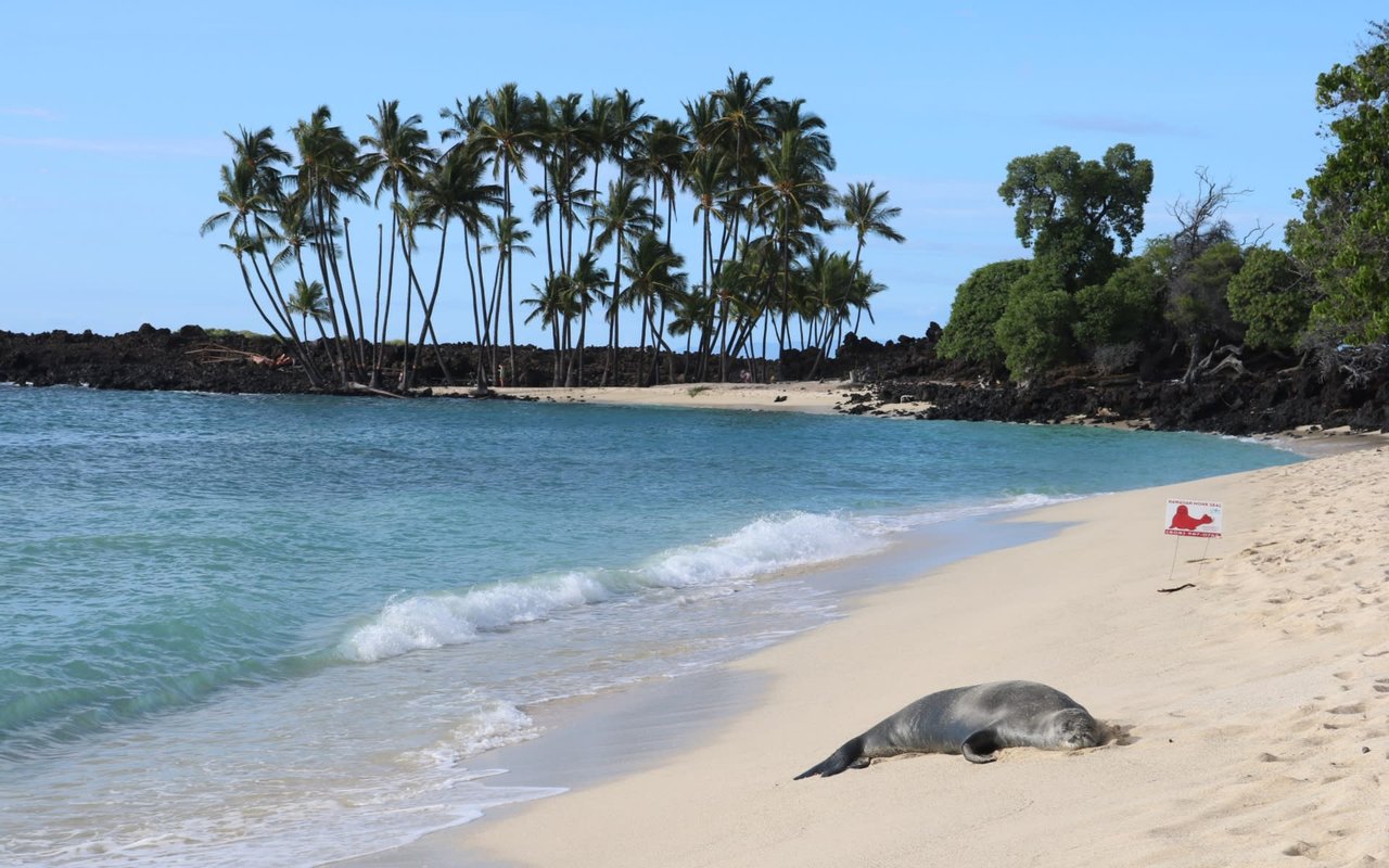 Key Factors for Home Buying Success on the Big Island