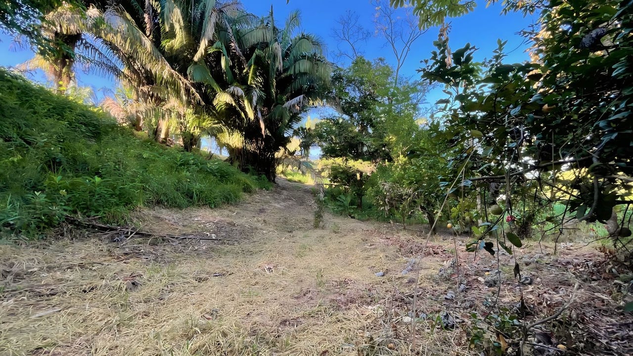  Exclusive Hermosa 1.2 Acre Lot with Panoramic Mountains and Ocean View. 