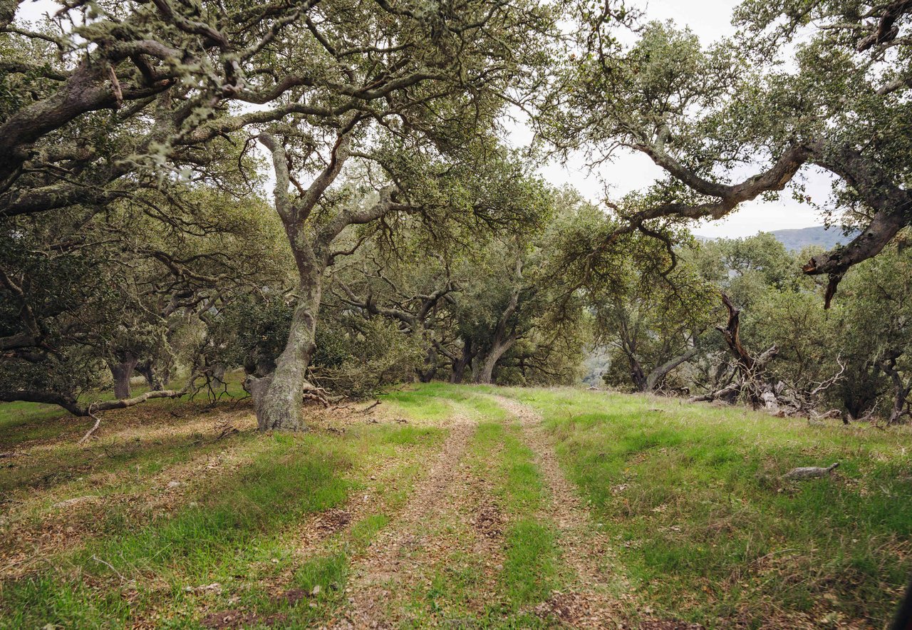 La Hoya Creek Ranch