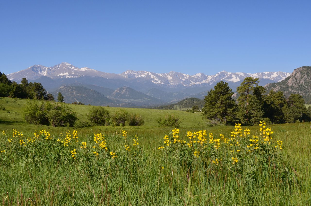 Owning a Home Helps Protect Against Inflation