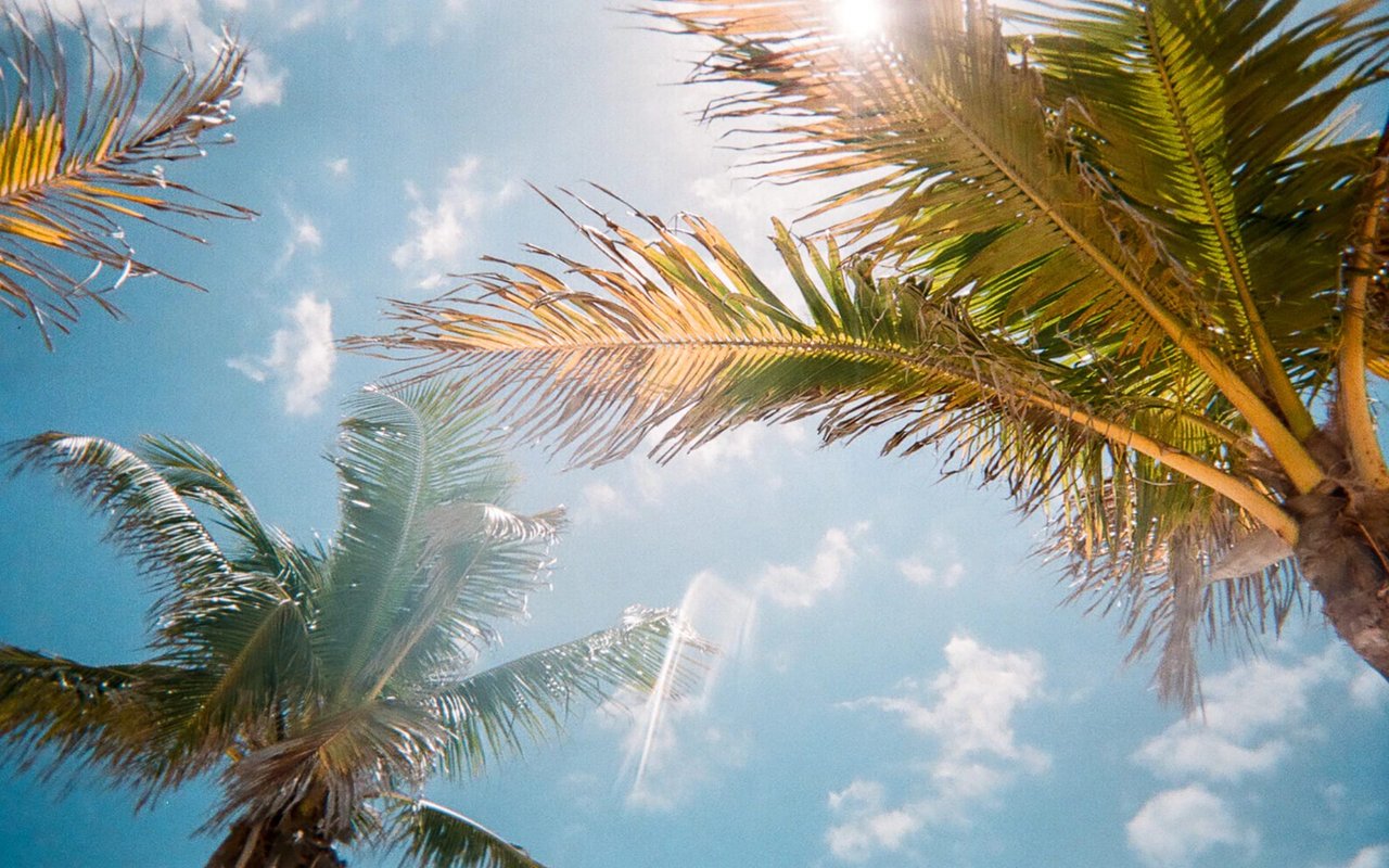 5 Reasons Chicago Residents Buy Vacation Homes in Southwest Florida