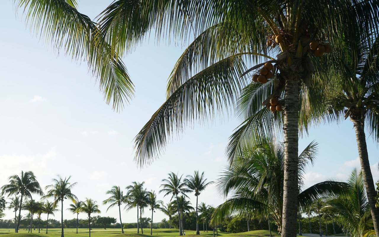 Jupiter Country Club