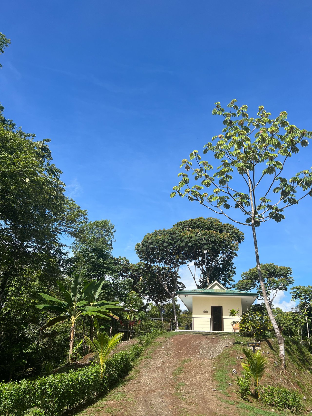  Affordable & Charming 1 bedroom Villa with Pool in gated community, immersed in the rainforest close to Quepos  
