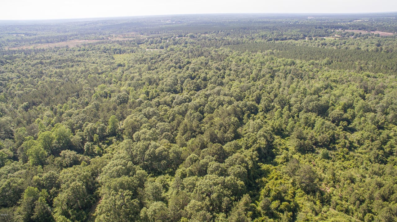 32331 Carey Smith Rd