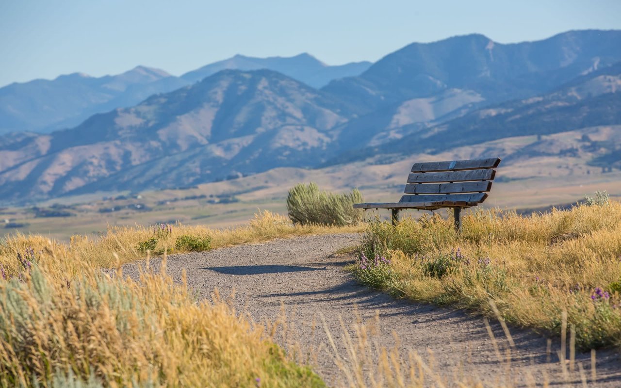 Bozeman