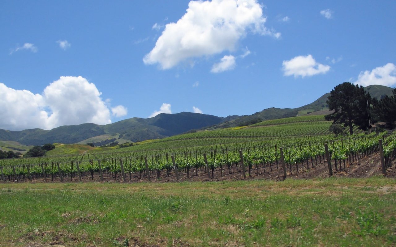 Santa Ynez Valley