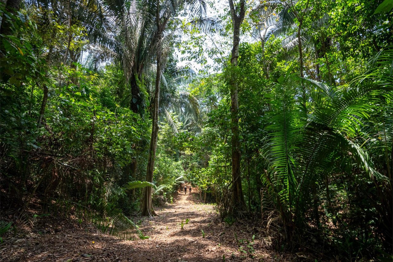 Private Ocean View Development Lot, Dominical, Puntarenas
