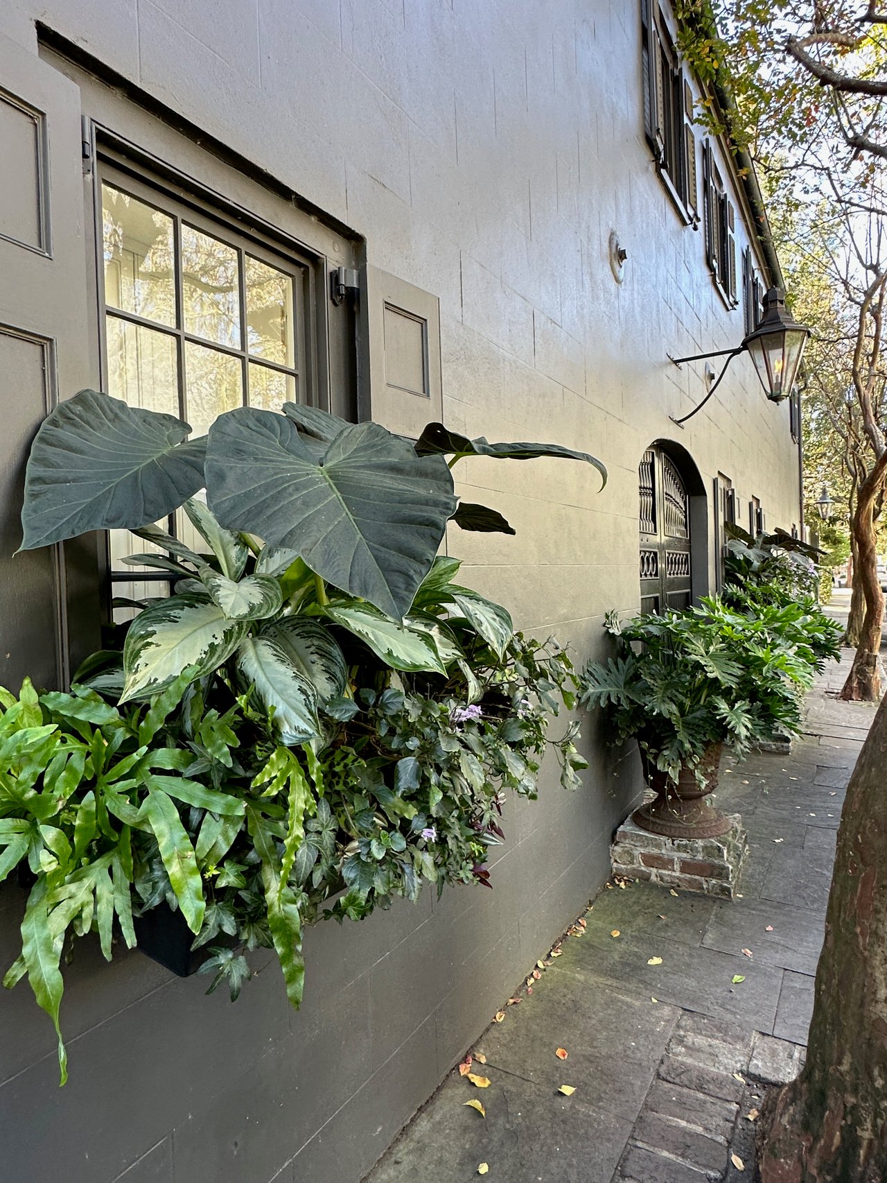 Embracing Autumn in Charleston