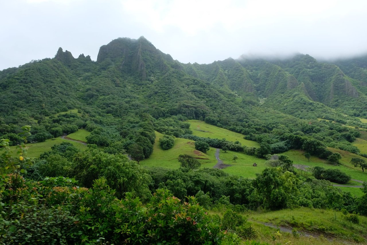 Quality of the Community When Buying a Big Island Home