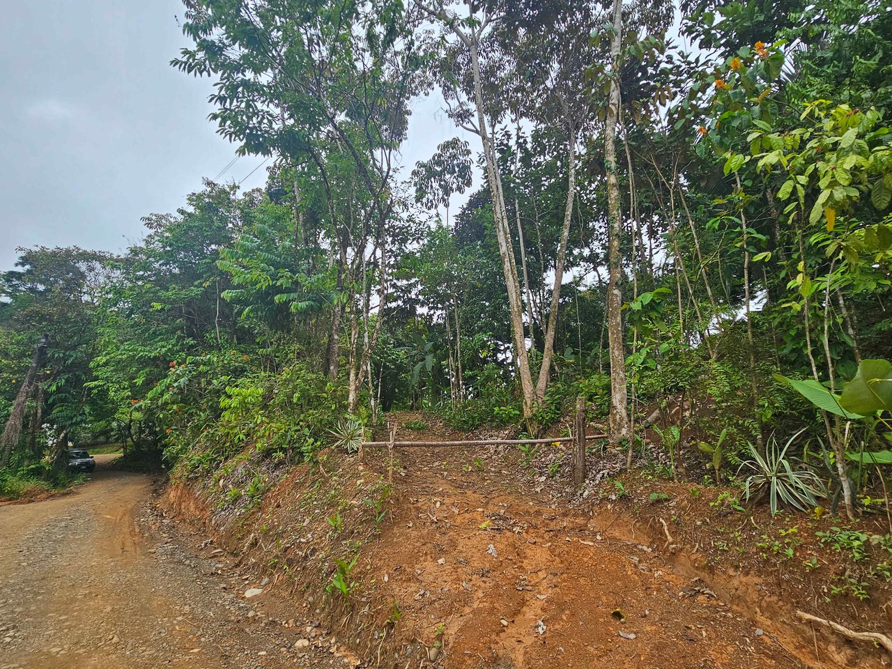 Prime Paradise: Your Opportunity in Uvita