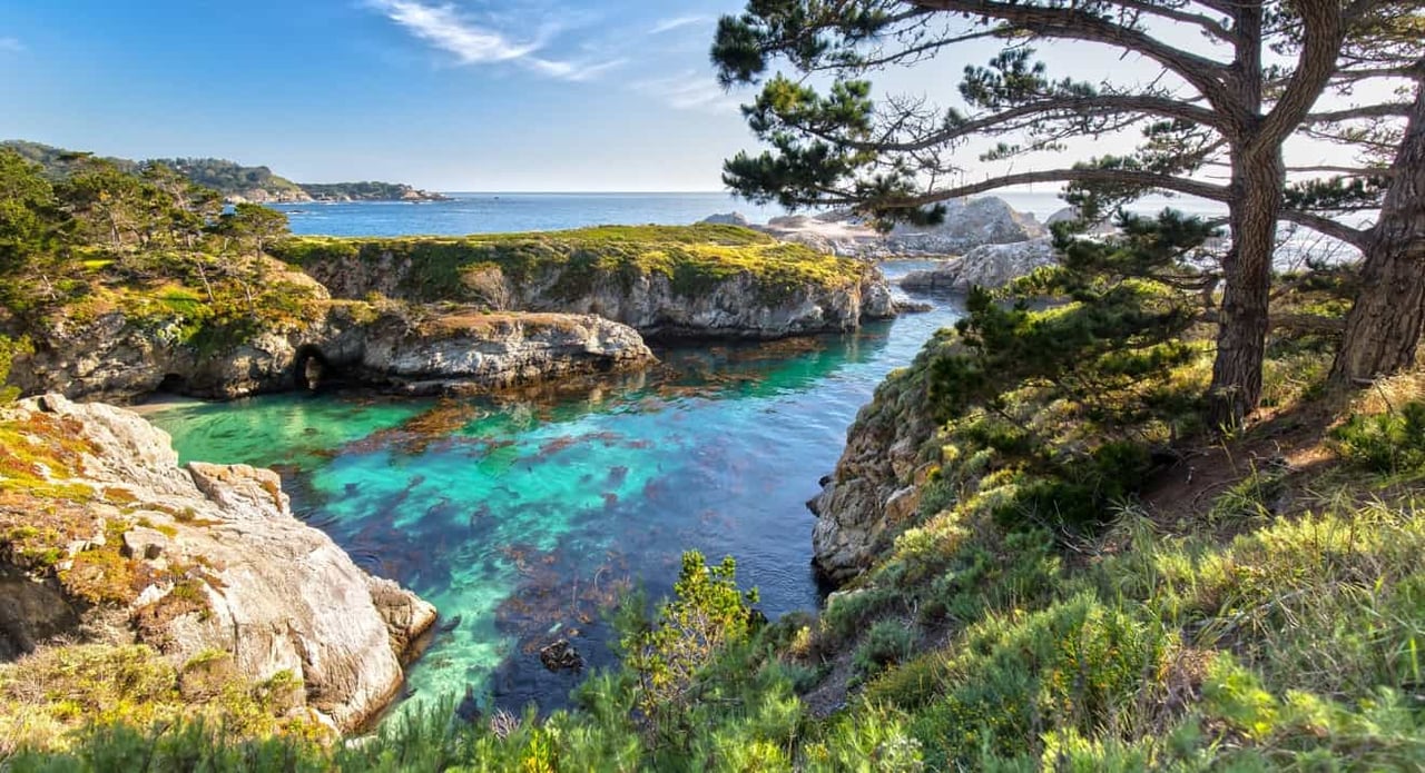 A Perfect Day at Point Lobos State Park