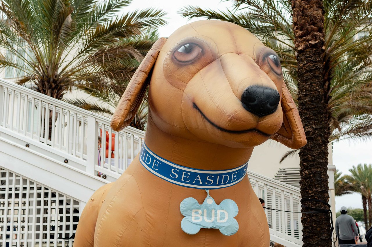 Seaside Florida | Bud Dog Inflatable | Annual Halloweener Derby