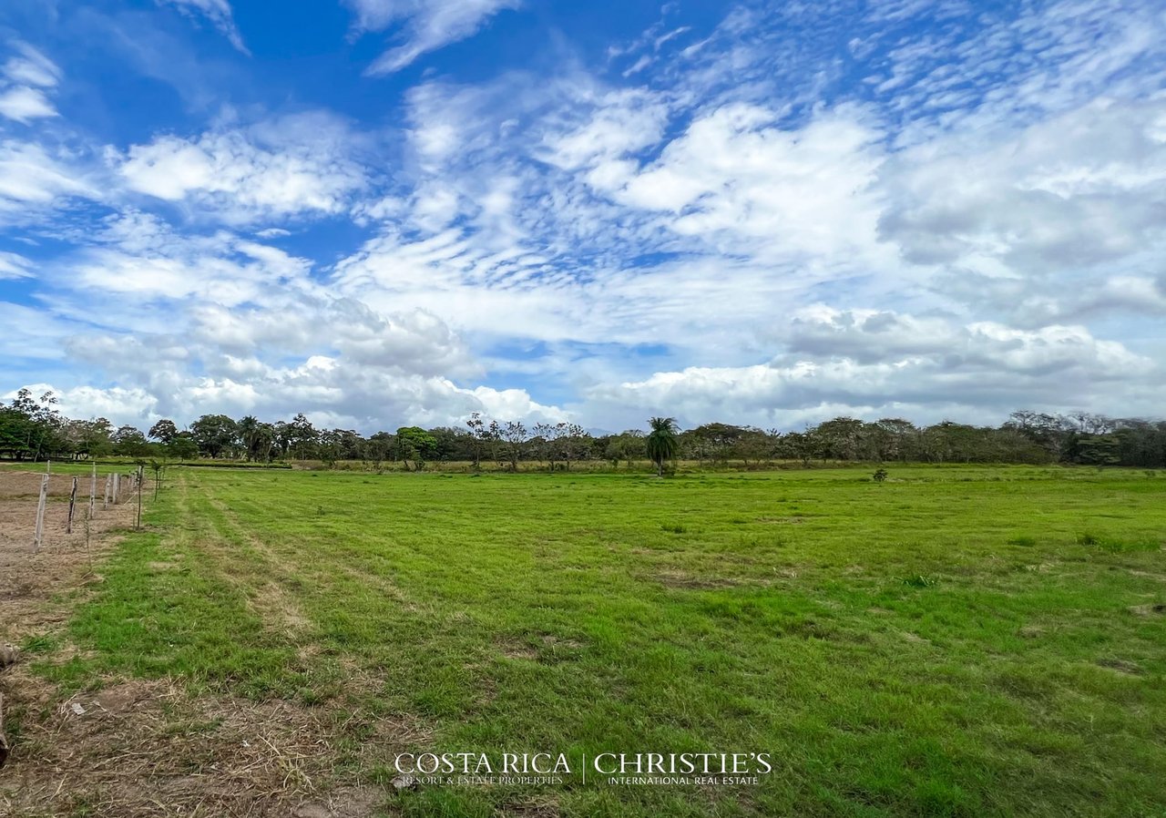 Finca Marsellesa
