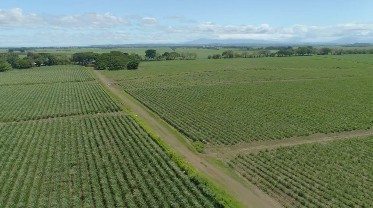 Strategic Cattle Ranch Development, Tamarindo, Guanacaste