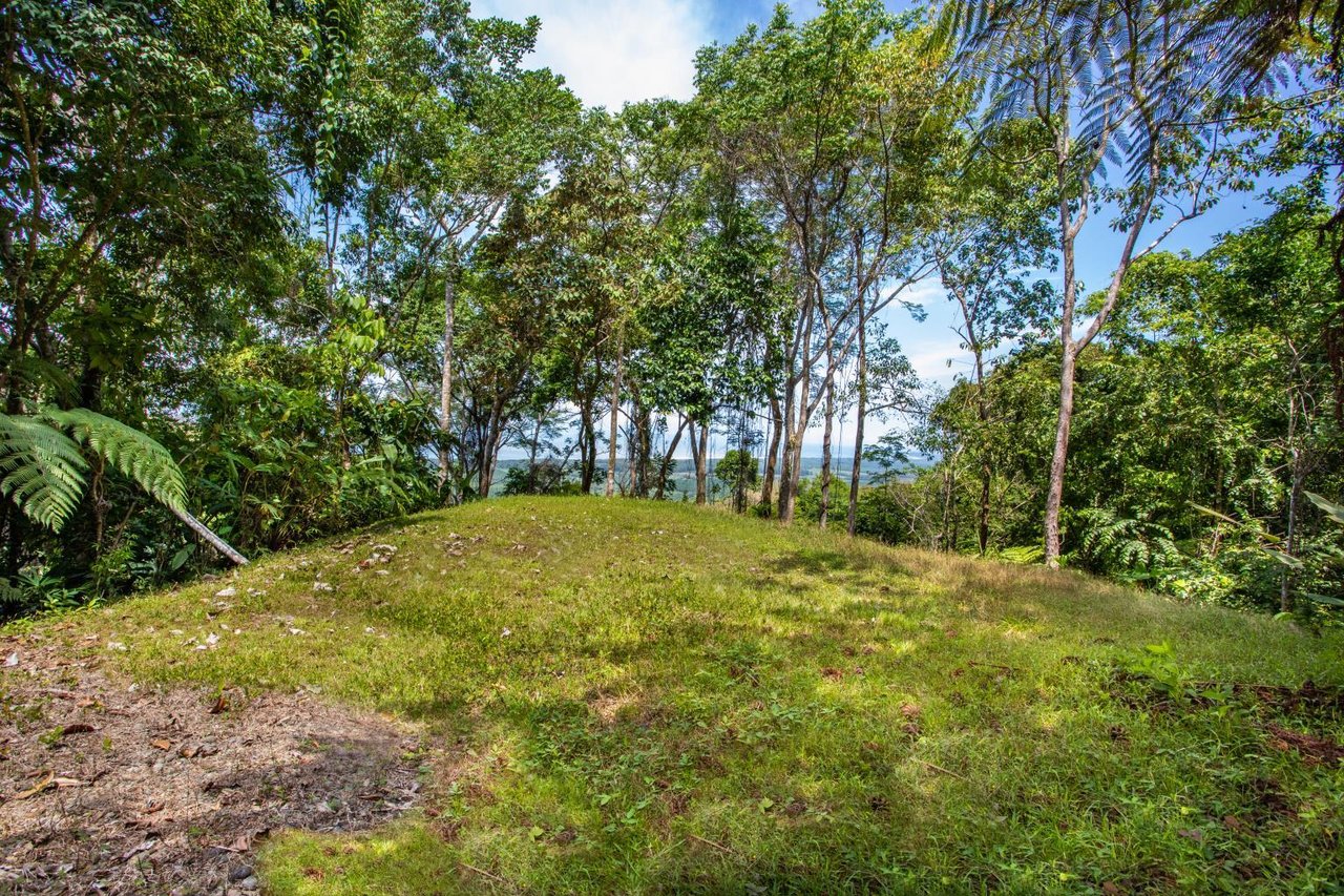 Incredible 7,000 Ft2 Ocean View Home With 200 Acre Reserve!