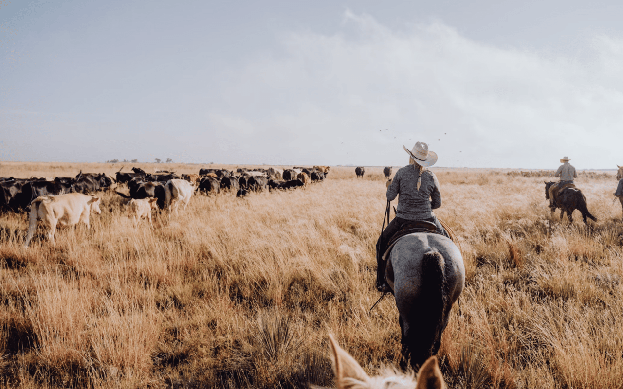 Your Guide to Texas Ranch Investing