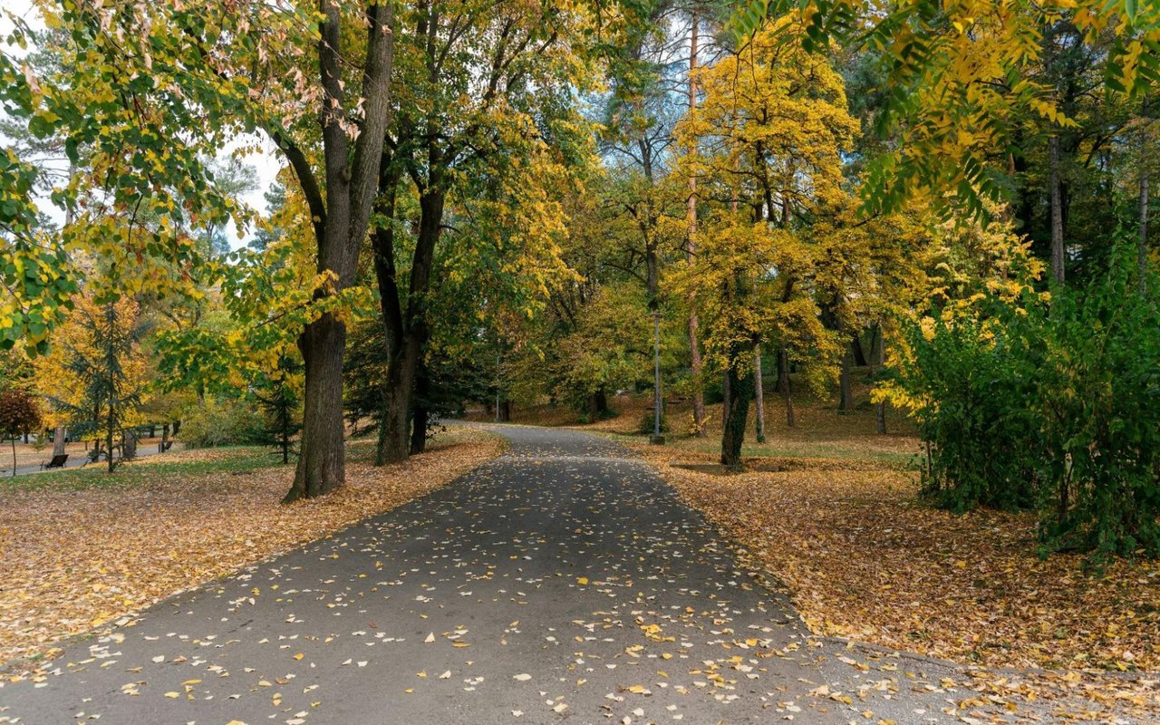 Living in Summerville, SC