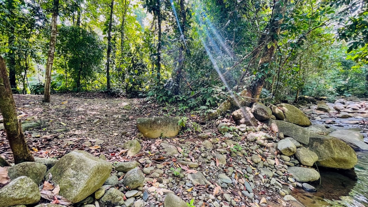 Riverfront Multi Residence Compound, Ojochal, Puntarenas