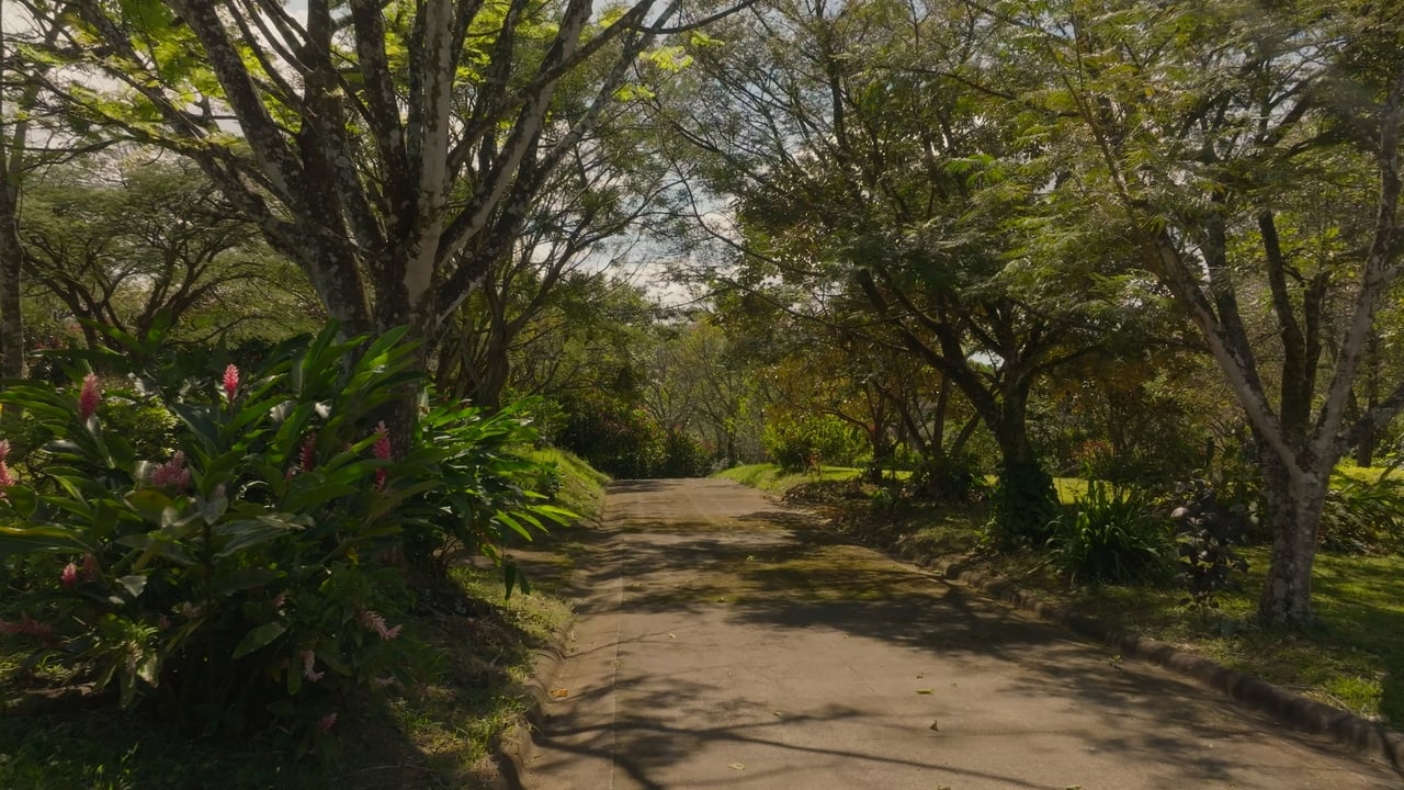 Prime Development Land for Sale La Guacima, Guacima, Alajuela