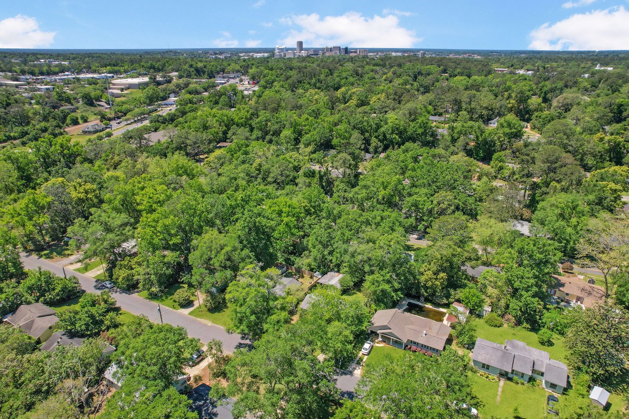 An aerial view of a different part of the Capital Hills neighborhood, showcasing houses and greenery.