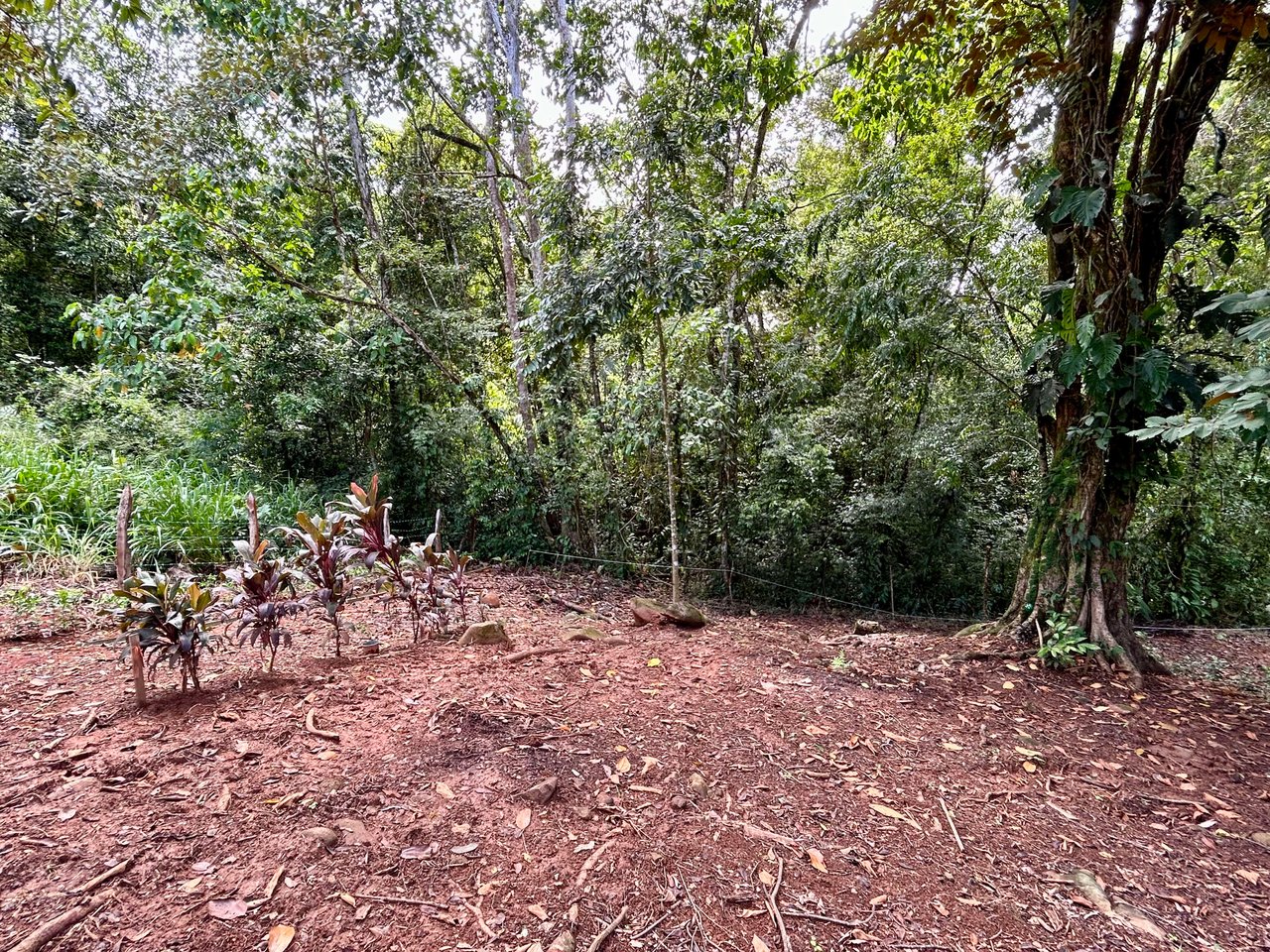 Jungle Side Lots in Uvita, Walking Distance to Amenities