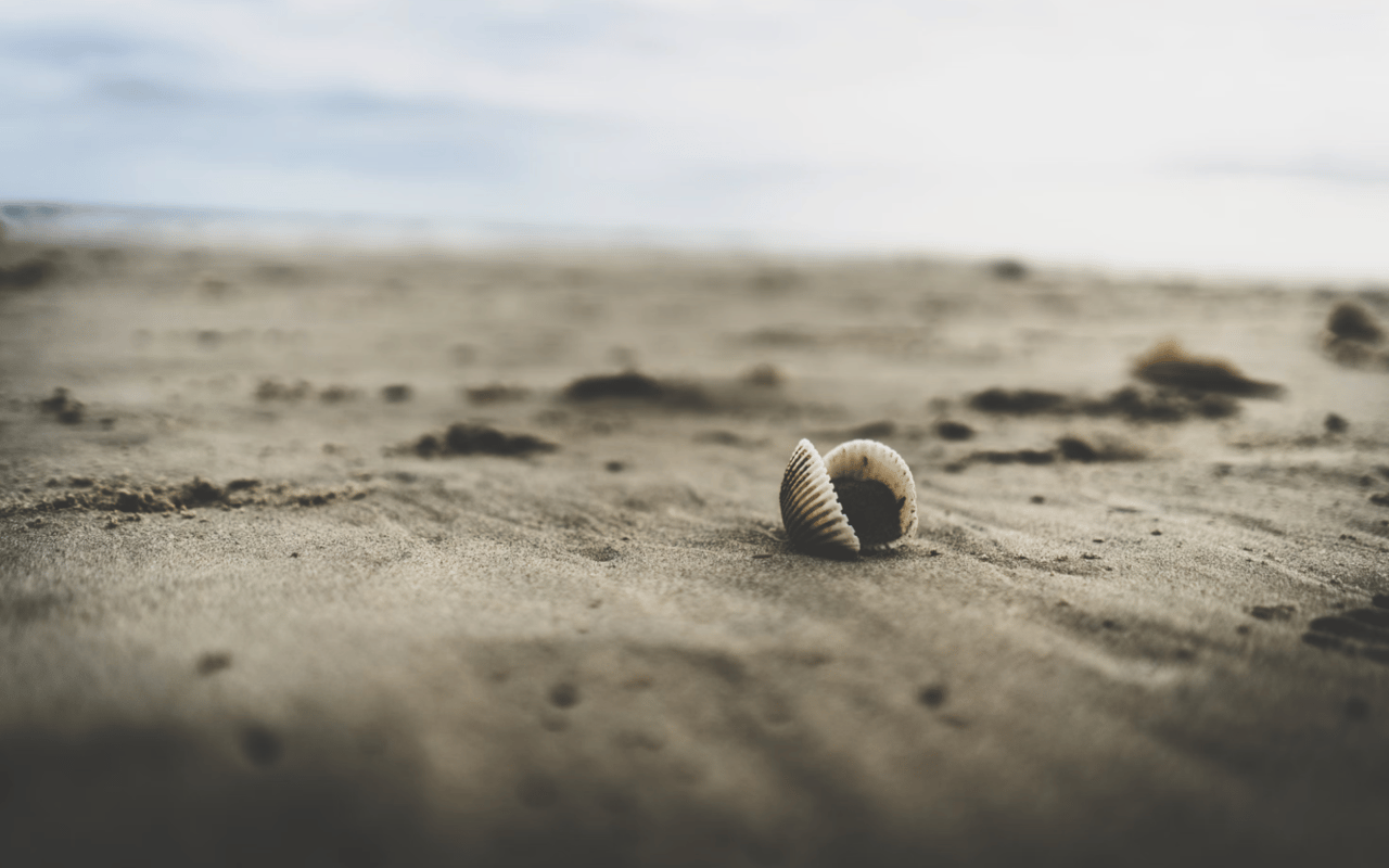 Charleston County, South Carolina, Beaches