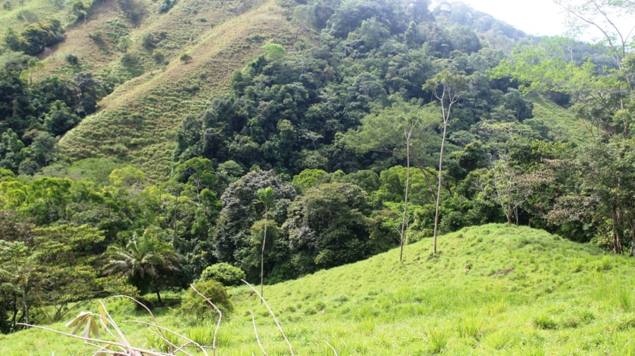 Waterfall Riverfront View Land, Uvita, Puntarenas