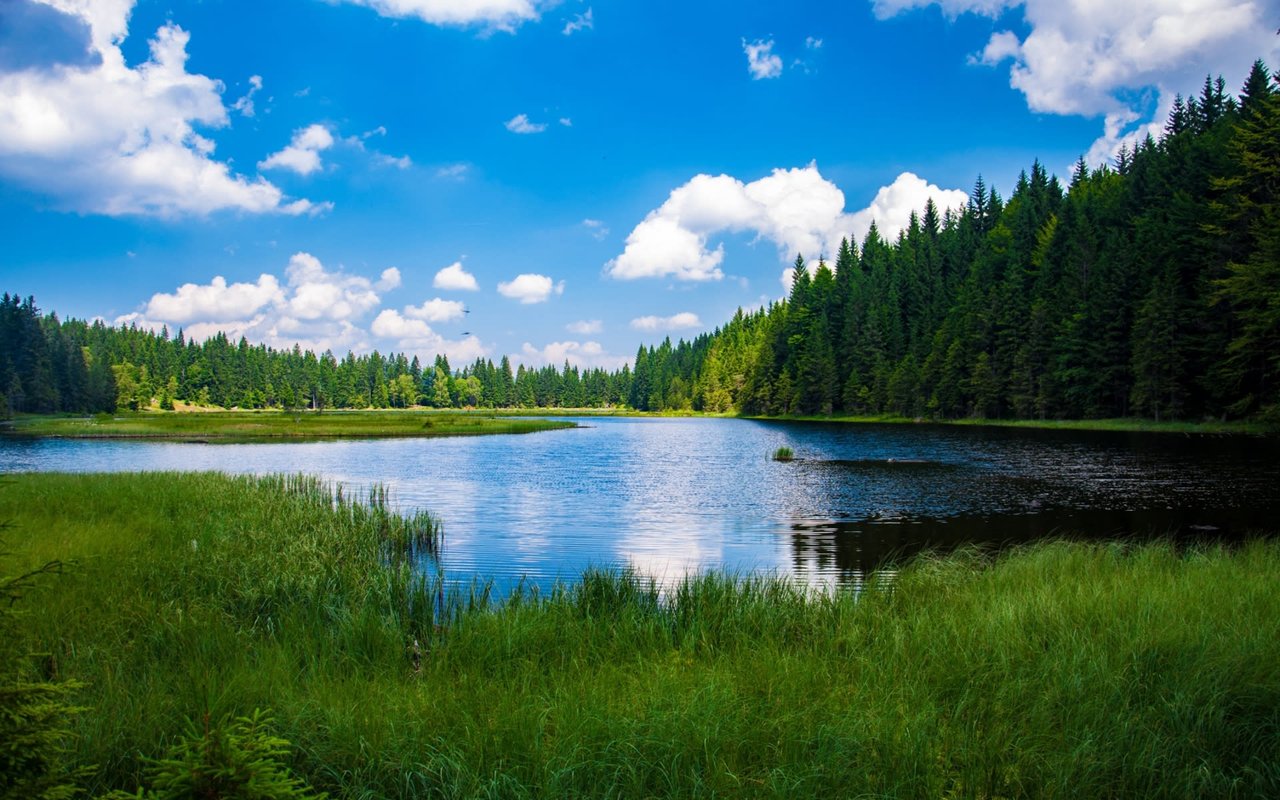 Lake Sunapee Region