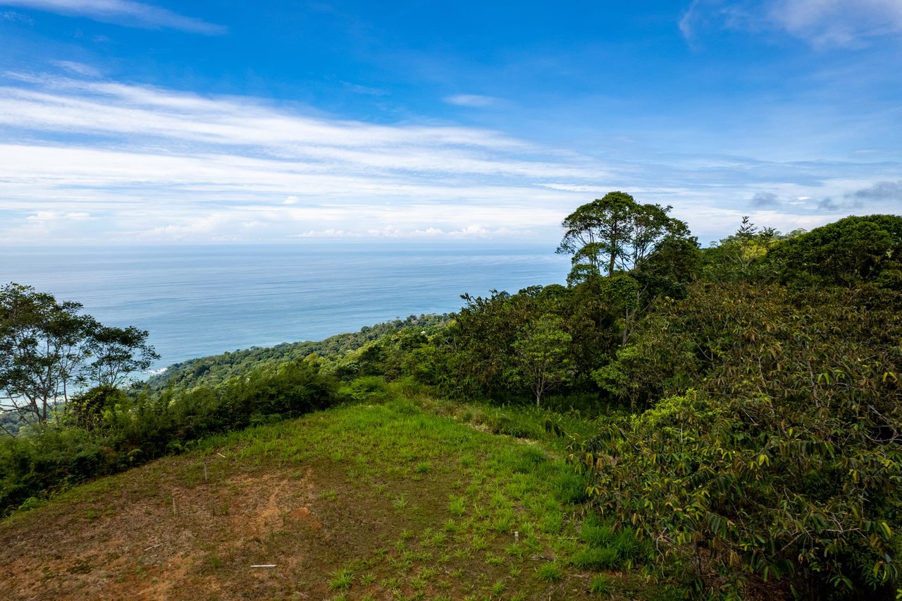 Iconic Whales Tail View in Premium Gated Community